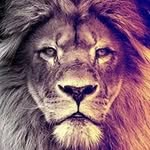 Rainer Friedrich Keller - @rainerfriedrichkeller - Instagram