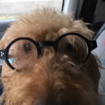 Rainer Kunz - @kunz_rainer - Instagram