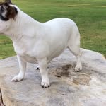 Rainer Kunz - @kunz8379 - Instagram