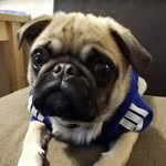 Rainer Kunz - @raikuco - Instagram