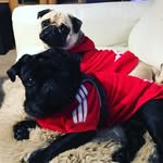 Rainer Kunz - @rainer8532 - Instagram