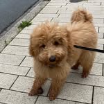 Rainer Kunz - @rainer.kunz.7 - Instagram