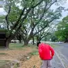 Rainer Lee - @rainer.lee - TikTok