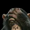 Rainer Lee - @rainer.lee8 - TikTok