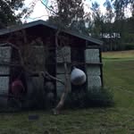 Rainer Lind - @storpaj - Instagram