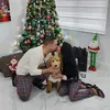 Rainer Rabelo - @rainerrabelo - TikTok