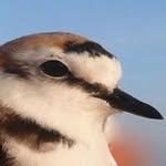 Rainer Schulz - @rainer_schulz - Instagram