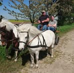 Rainer Standke - Facebook