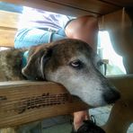 Rainer Stoll - Facebook