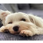 Rainer Stoll - @zottel2013 - Instagram