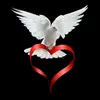 Rainer_Thomas - @rainer_thomas - TikTok
