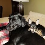 Rainey And Cooper - @raineyandcooper - Instagram