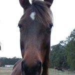 Rainey Thompson - @gracielover_13 - Instagram