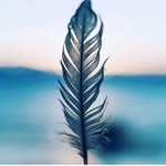Raini Smith - @raini.smith - Instagram