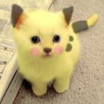 RainieCrossiretyg - @rainiecrossiretyg - Instagram