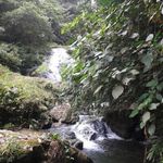 Rainier Gonzalez - @rainiergonzalez123 - Instagram