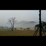Rainy Brown - @wae8496 - Instagram