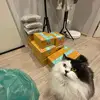 Rainybrown shop - @rainybrown.shop - TikTok