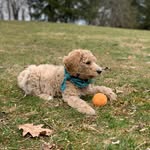 Rainy Rose Robinson - @rainy_rose_doodle - Instagram
