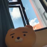 Little_m - @rainywoods_diary - Instagram