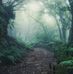 Rainy Woods Hearth - Facebook