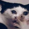 Nashrah Raisa Kabir - @___kabir - TikTok