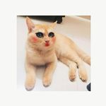raisa kabir - @raisa_kabir_ - Instagram