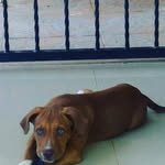 Raisa De Jesus Polanco - @raisita__ - Instagram