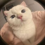 Raisa Sanchez - @raisa_snz_ - Instagram