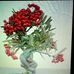 Rosi Wickramasinghe - Facebook