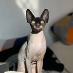 Raisin Young - @mr.raisinyoung - Instagram