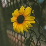 kethally raissa - @kethallyraissa - Instagram
