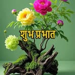 Raj Bhat Josi - Facebook