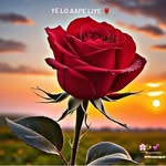 raj Krishna - @satendrnishad28 - Instagram