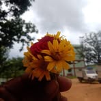 Raj Krishna - Facebook