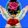 Raj Krishna - @krishana2543 - TikTok