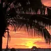 Raj Naicker - @raj.naicker3 - TikTok