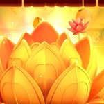 raj Naicker - @naicker8695 - Instagram