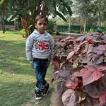 Raj Narain - @raj.narain.14 - Instagram
