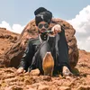 Raj Rajput - @rajrajput1277 - TikTok