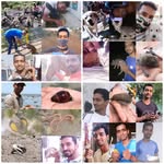 Raj Sheth - @raj_sheth - Instagram