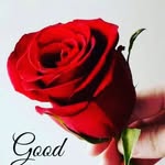 Raj Sohal - @rajsohal1234 - Instagram