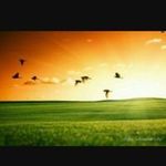 raj - @rajsuchak6 - Instagram