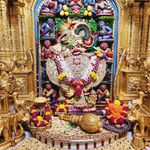Raj Suchak - @suchak657 - Instagram