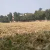 raj tech - @rajtech95 - TikTok