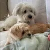 Raj Walia - @rwalia1070 - TikTok