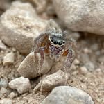 Raja Alexander Hourani - @raja_hourani - Instagram