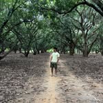 Raja Anthonysamy - @raja_anthonysamy - Instagram