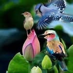 Arul Raja - @raja_arul - Instagram