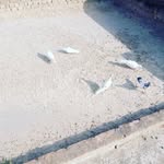 Raja Bahar - @avtarshahot - Instagram